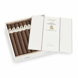 Davidoff Winston Churchill Churchill 20s