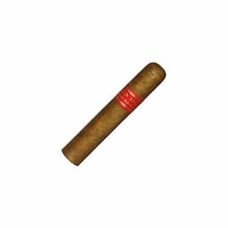 PARTAGAS SERIE D No.5 25s