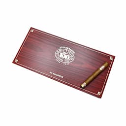 Romeo y Julieta Amantes 20pcs/box