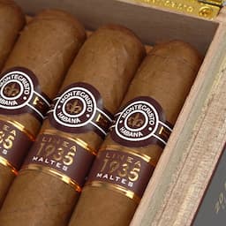 Montecristo Linea 1935 Maltes