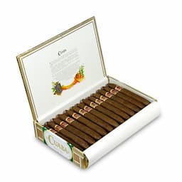 CUABA EXCLUSIVOS 25s