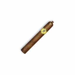 TRINIDAD REYES 12s
